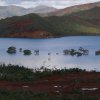 Le lac de Yaté et la forêt noyée